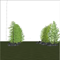 Natural Plant Combination With Tall Green Trees Green Grass And Stones In Open Landscape