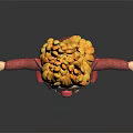 Angry Elf Character With Yellow Hair Red Outfit Standing Pose