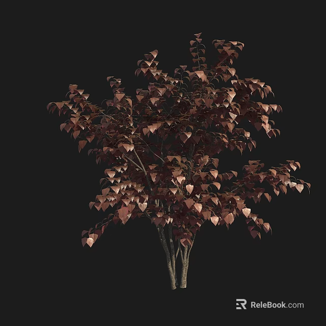 Slender Ornamental Arbor With Dark Red Brown Leaves And Lush Foliage 3d model 