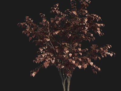 Slender Ornamental Arbor With Dark Red Brown Leaves And Lush Foliage 3d model