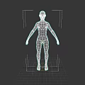 Woman 3D Wireframe Model Standing On Black Background With Grid Structure 3d model