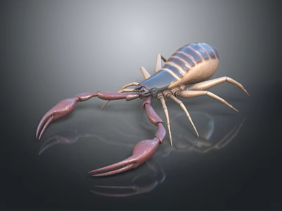 Realistic Scorpion With Large Pincers Segmented Body And Reflective Surface 3d model