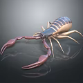 Realistic Scorpion With Large Pincers Segmented Body And Reflective Surface 3d model
