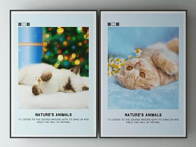 Nature Animals Cat Posters Featuring Christmas Tree And Daisies Decorative Prints 3d model