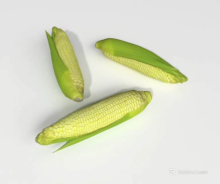 Fresh Ears of Corn With Green Leaves Displayed on White Background 3d model 