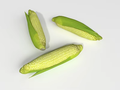 Fresh Ears of Corn With Green Leaves Displayed on White Background 3d model