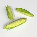 Fresh Ears of Corn With Green Leaves Displayed on White Background