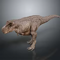 Realistic Tyrannosaurus Rex 3D Model With Detailed Skin Texture Standing On Gray Background
