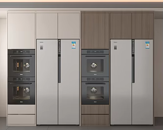 Refrigerator Oven Induction Cooker Wall Cabinet 3d model