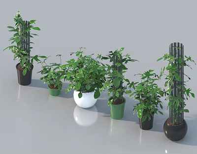 Potted Bonsai Plants with Lush Green Leaves in Various Colored Pots for Indoor Decor 3d model