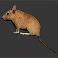 Orange Colored Mouse 3D Render In Standing Pose With Detailed Fur 3d model