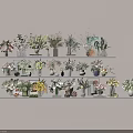 Various Colorful Flowers In Decorative Vases Arranged On Multiple White Shelves