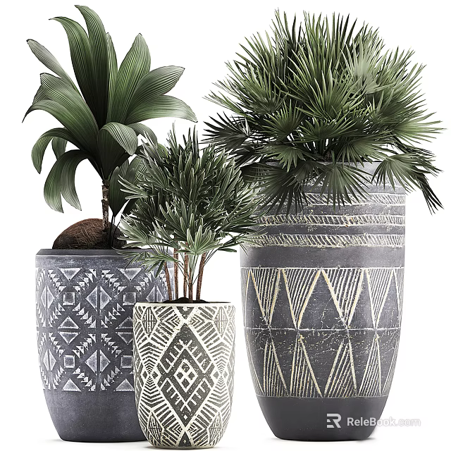 Bonsai Potted Plants With Green Leafy Foliage In Geometric Patterned Decorative Pots 3d model 