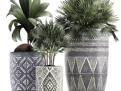 Bonsai Potted Plants With Green Leafy Foliage In Geometric Patterned Decorative Pots 3d model