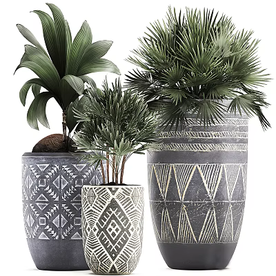 Bonsai Potted Plants With Green Leafy Foliage In Geometric Patterned Decorative Pots 3d model