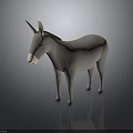 Gray Donkey 3D Model Standing On Dark Background With Reflection