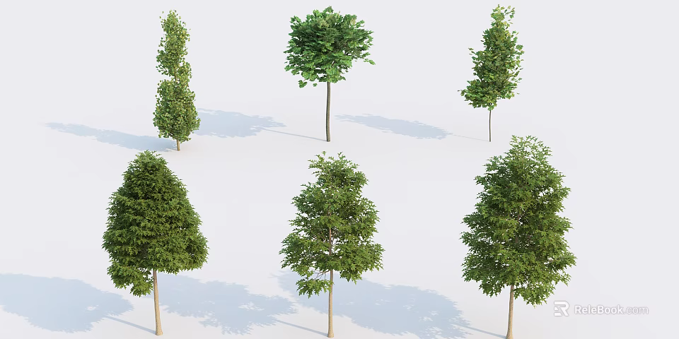 Different Arbor Tree Varieties With Lush Green Foliage For Landscape Design 3d model