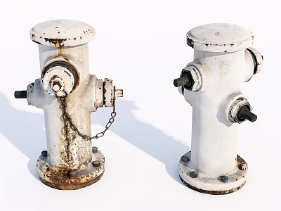 Two White Rusted Fire Hydrants With Chain And Outdoor Base Details 3d model