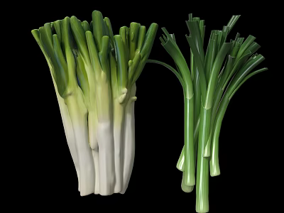 Fresh Healthy Green Onions With White Stalks And Green Leaves Isolated On Black Background 3d model