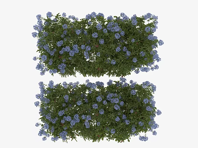 Two Rows of Lush Green Plants With Vibrant Blue Small Flowers 3d model
