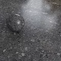 Gray Terrazzo Like Floor Tiles With Smooth Finish And Stone Sphere