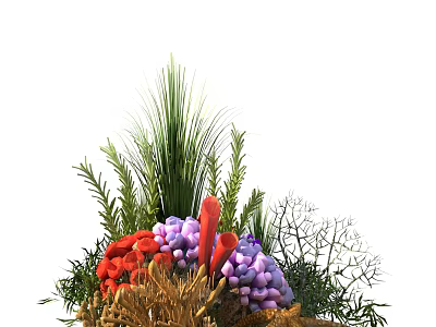 Colorful Flowers and Green Plants with Red Purple Blooms and Lush Fern Leaves 3d model