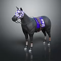 Black Racehorse with Checkered Mask Purple Saddle Pad and Number 3