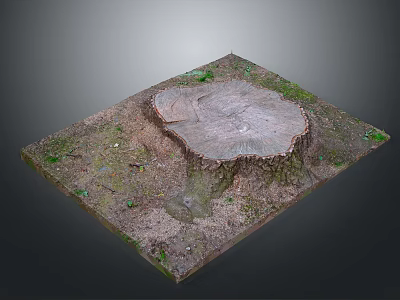 Natural Tree Stump With Small Plants And Moss On Dirt Ground 3d model