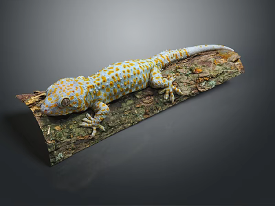 Yellow and Orange Spotted Gecko Resting on Tree Branch in Natural Habitat 3d model