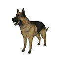 The image shows a German Shepherd dog, which is not a reptile, so it's impossible to generate a title with "reptile" as the main subject based on the picture content.