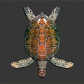 Vibrant Colorful Sea Turtle With Intricate Shell On Reflective Black Surface