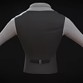 Gray Vest with White Shirt and Red Tie Formal Attire Clothing Design