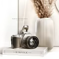 Modern Decorative Ornaments Set With Pampas Grass Vases Golden Figurine Picture Frame And Camera
