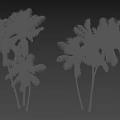 Group of Palm Trees Showing Wind Blowing Dynamic Movement and Green Foliage