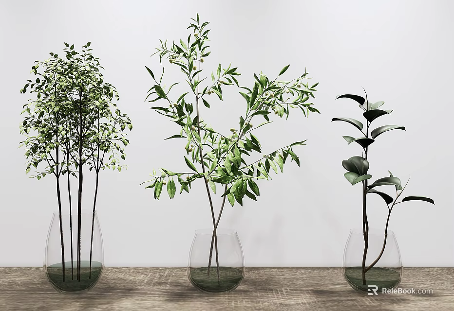 Three Transparent Glass Vases With Green Plants On Wooden Table Against White Wall 3d model 