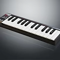 M Audio Portable Electronic Keyboard With Black And White Keys For Music Creation
