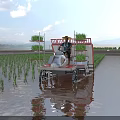 Scenic Rice Paddy Field With Green Seedlings Blue Sky And Distant Mountains