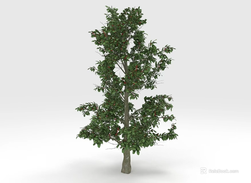 Healthy Green Tree With Lush Green Leaves And Brown Trunk Against White Background 3d model 