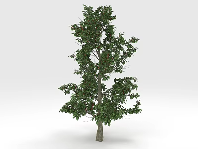 Healthy Green Tree With Lush Green Leaves And Brown Trunk Against White Background 3d model