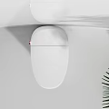 Sleek White Modern Toilet Design With Palm Tree And Minimalist White Background
