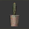 Potted Cactus Plant in Decorative Planter with Pink and Green Floral Patterns