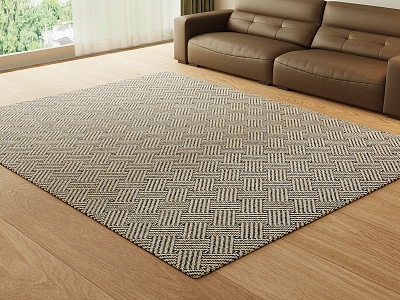 Retro Carpet 3d model