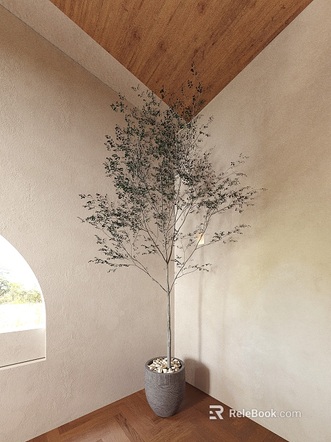 Tall Indoor Bonsai Plant With Green Leaves In Decorative Pot Near Wall With Natural Light 3d model 