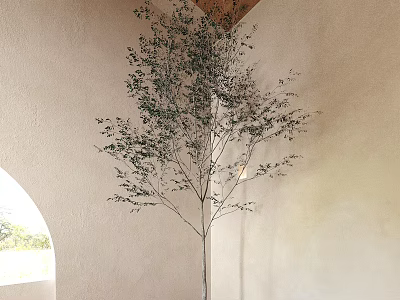 plant green plant flower bed shrub bonsai potted plant 3d model