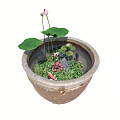 Terracotta Container Water Garden With Pink Water Lily And Lily Pads
