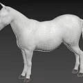 White Horse 3D Model With Glossy White Coat And Brown Hooves Standing Still