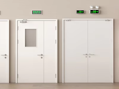 White Safety Exit Doors With Small Windows And Double Panel Design 3d model