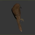 Brown Bird Standing On Smooth Surface With Gray Background Soft Lighting Focused On Feathered Creature