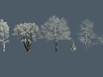 Snow Covered Deciduous Trees with Branches in Various Forms Against Gray Background 3d model