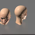 Woman Bald Head Model Display Front And Side View Design Details